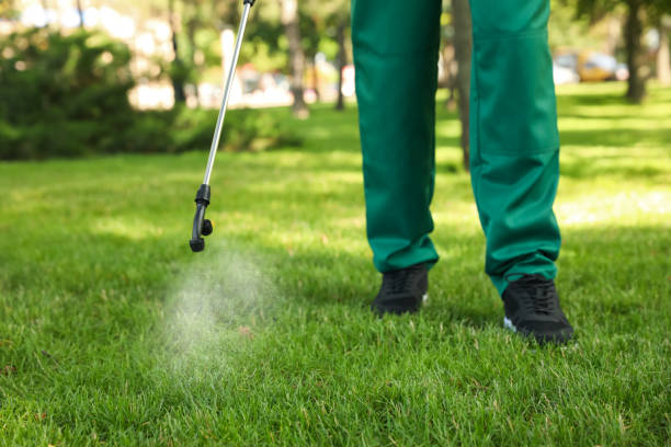 Best Pest Control Near Me  in Riverdale Park, CA